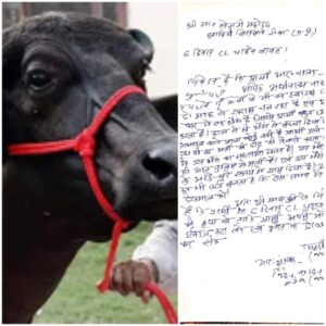 Letter For Leave