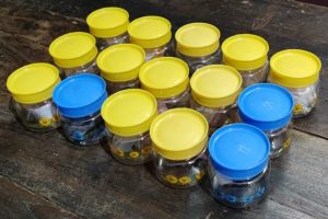 Bhopal Drug Racket